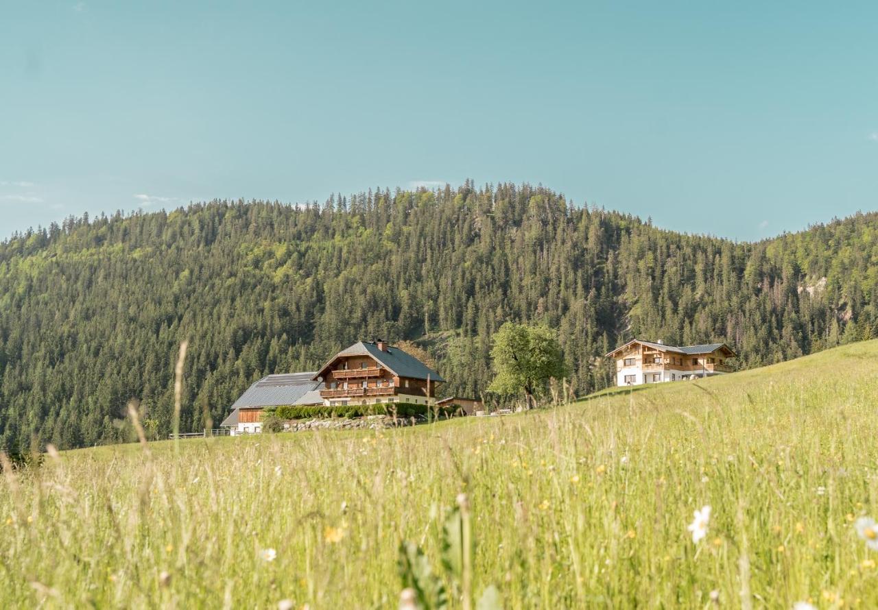 Bio Bauernhof Oberhinterberg Appartement Annaberg im Lammertal Dış mekan fotoğraf