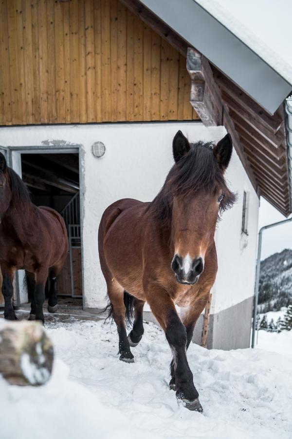 Bio Bauernhof Oberhinterberg Appartement Annaberg im Lammertal Dış mekan fotoğraf